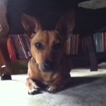 Profile Picture of Quinn (@quinn_downing) on Instagram