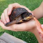 vincent_fezz - Instagram Profile Picture of vincent_fezz (@vincent_fezz) on Instagram