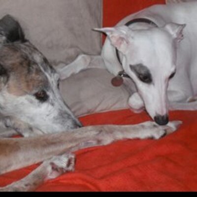 Profile Picture of David Hassett (@DavidAHassett) on Twitter