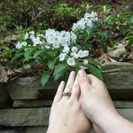 Profile Picture of Andrew Bruni (@andrew.bruni.5) on Facebook