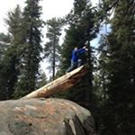 Profile Picture of Brendan Bueckert (@bueckertbrendan) on Instagram