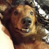Profile Picture of Michael Sorrels (@michaelsorrels1) on Tiktok