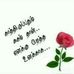 Profile Picture of Davidbilla (@davidbilla.davidbilla.3557) on Facebook