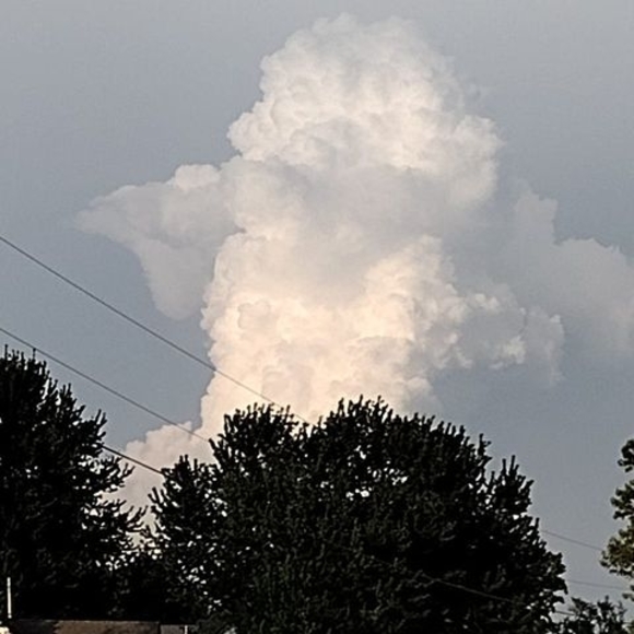 Profile Picture of April Fowler (@fowlerapril65) on Poshmark