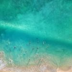 Profile Picture of Alfie Robertson (@alfie_robertson) on Instagram