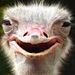 Profile Picture of Nicholas Coniglio (@coniglio2425) on Pinterest
