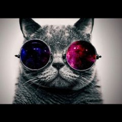 Profile Picture of Devin Lee (@devin_hammer085) on Twitter