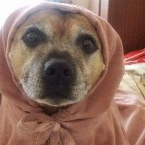 Profile Picture of Clare Gill (@clare.gill) on Tiktok