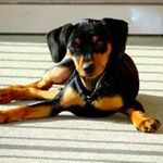 Profile Picture of Brian Dunphy (@brian.dunphy.3939) on Instagram