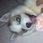 Profile Picture of Daniel Lourido (@banjo///) on Flickr