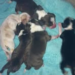 Profile Picture of Debra Swihart (@debra.swihart.5) on Facebook