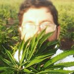 Profile Picture of David Calleros (@daweedhca) on Instagram