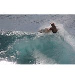 Profile Picture of Kayla MCcarthy (@kayla_turtles) on Instagram