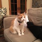 Stephanie - Instagram Profile Picture of Stephanie (@sjwarth) on Instagram