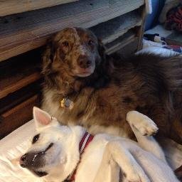 Profile Picture of Lisa Hutcheson (@ELisaWiseEady) on Twitter