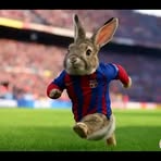 Profile Picture of Martin Fajardo (@Martin-Fajardo) on Facebook