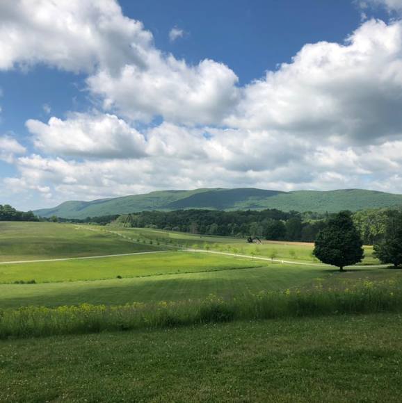 Profile Picture of Heather Deserio (@chaos3871) on Poshmark