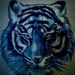Profile Picture of alvin mathis (@alvinmathis) on Pinterest