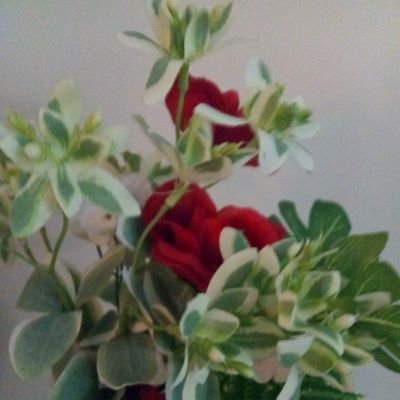 Profile Picture of Tammy Smith-Mansell (@tammysmith_mans) on Twitter