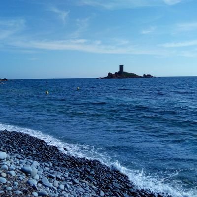Profile Picture of FrenchJeanGuy (@FrenchJeanGuy1) on Twitter