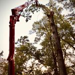 Profile Picture of Joe Davis (@joe.davis.any.day) on Instagram