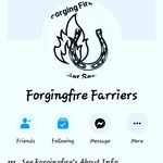 Profile Picture of Michael Kelly & Ashley Lesher (@forging_fire_farriers) on Instagram