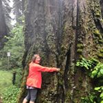 Linda Engle - Instagram Profile Picture of Linda Engle (@englelinda) on Instagram