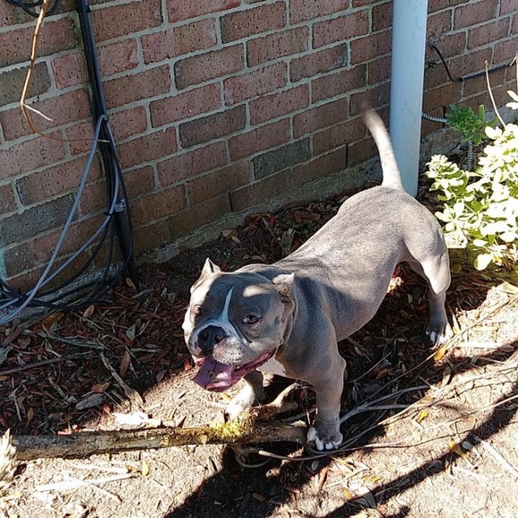 Profile Picture of Pete Perez (@pete137) on Poshmark