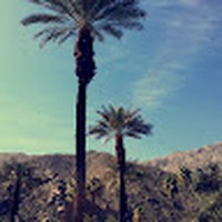 Profile Picture of Jayme Fjellstrom (@jayme-fjellstrom) on Quora