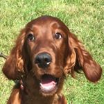 Profile Picture of Kevin Hendry (@hendry5414) on Instagram