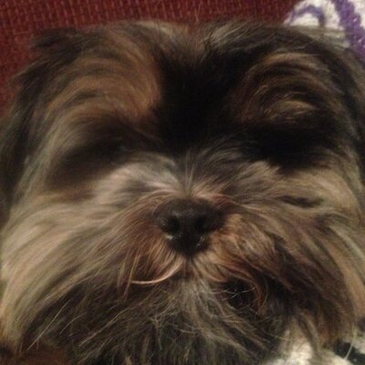 Profile Picture of Darryl Armstrong (@ArmstrongDarryl) on Twitter