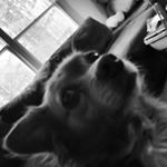 Profile Picture of Eva Bogusta (@evabogusta) on Instagram