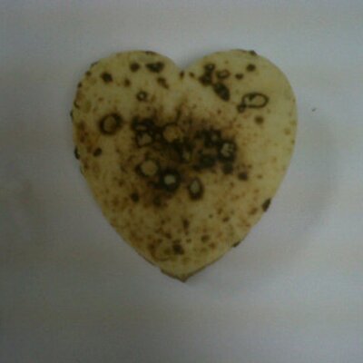 Profile Picture of Steve Merritt (@merritt_sc) on Twitter