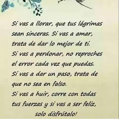 Profile Picture of Sandra Velázquez Rosete (@RoseteVelazquez) on Twitter