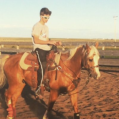 Profile Picture of Randy Neufeld (@RandysBirdhouse) on Twitter