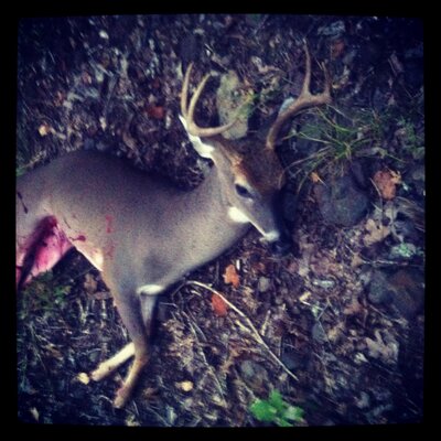 Profile Picture of Darrell Watkins (@DarrellWatkins3) on Twitter