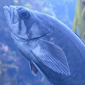 Profile Picture of Connor Carr (@connorcarr4051) on Youtube