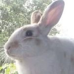 Profile Picture of Nidia Rachell Valladares (@nidiarachell) on Instagram