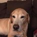 Profile Picture of Keith Decker (@keith.decker.336) on Facebook