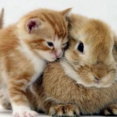 Profile Picture of Berta_Romero (@Berta_Romero1) on Twitter