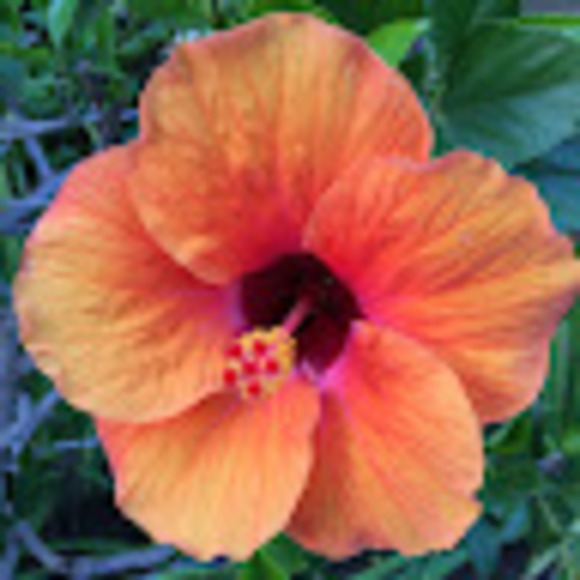 Profile Picture of D Gray (@dgray655) on Poshmark