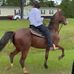 Profile Picture of Robert Spivey (@moody.spivey) on Facebook