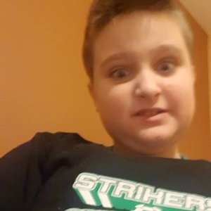 Profile Picture of Marko_LLama (@Ja26857420) on Twitter