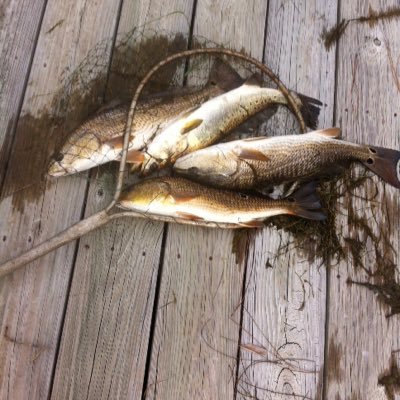 Profile Picture of Aaron Wray (@AaronWray4) on Twitter