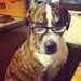 Profile Picture of Keith Dsouza (@keithdsouza) on Pinterest