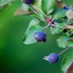 Profile Picture of CLIFF (@cliff8hvrobbins) on Instagram