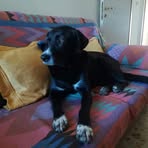 Profile Picture of Giorgio Capra (@giorgio.capra.7) on Facebook