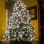 Profile Picture of Brandon Moeller (@bmoeller31) on Instagram