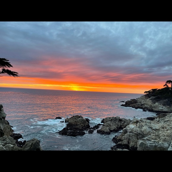 Profile Picture of Chloe Tang (@chloetang842) on Poshmark