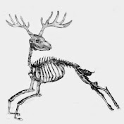 Profile Picture of Chia Lin (@chialin407) on Youtube